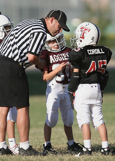 整个篮球界 整个篮球界