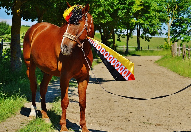 他的态度又 他的态度又