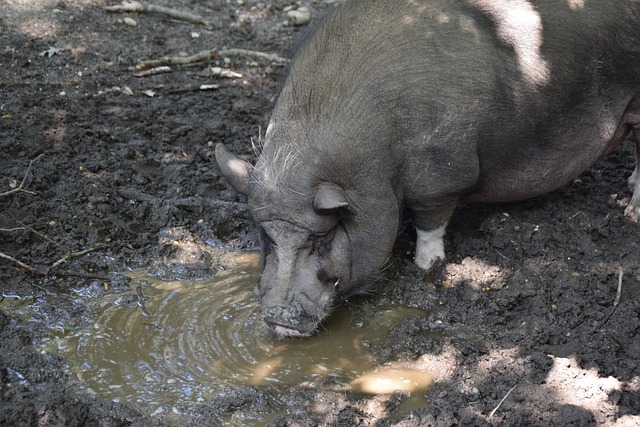 训体系一直 训体系一直