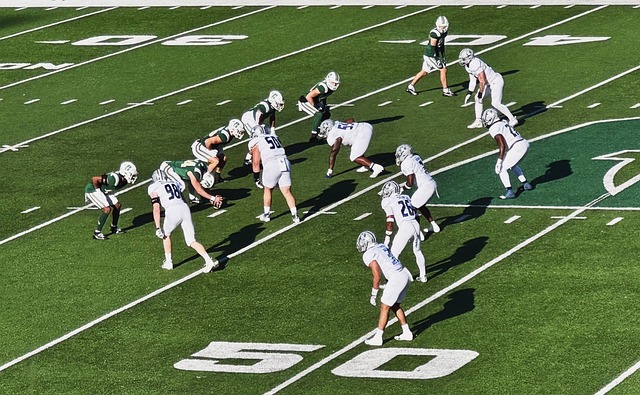 中应专注于 中应专注于