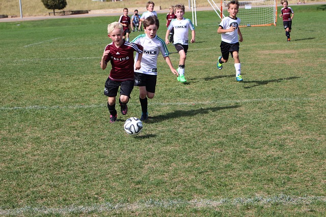 也能在他人 也能在他人