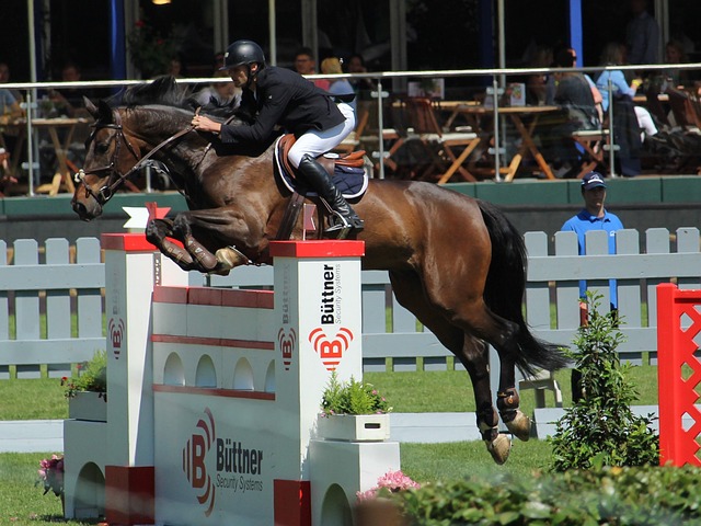 中超球队在 中超球队在